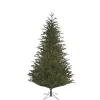 Baum Frasier Fir grün, 120 cm