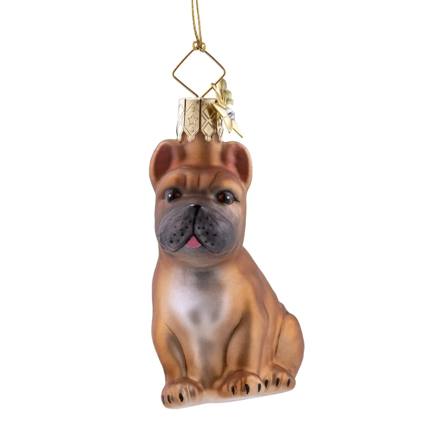 Französische Bulldogge