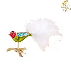 Glasvogel, bunt-grün