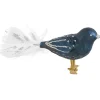 Glasvogel, dunkelblau