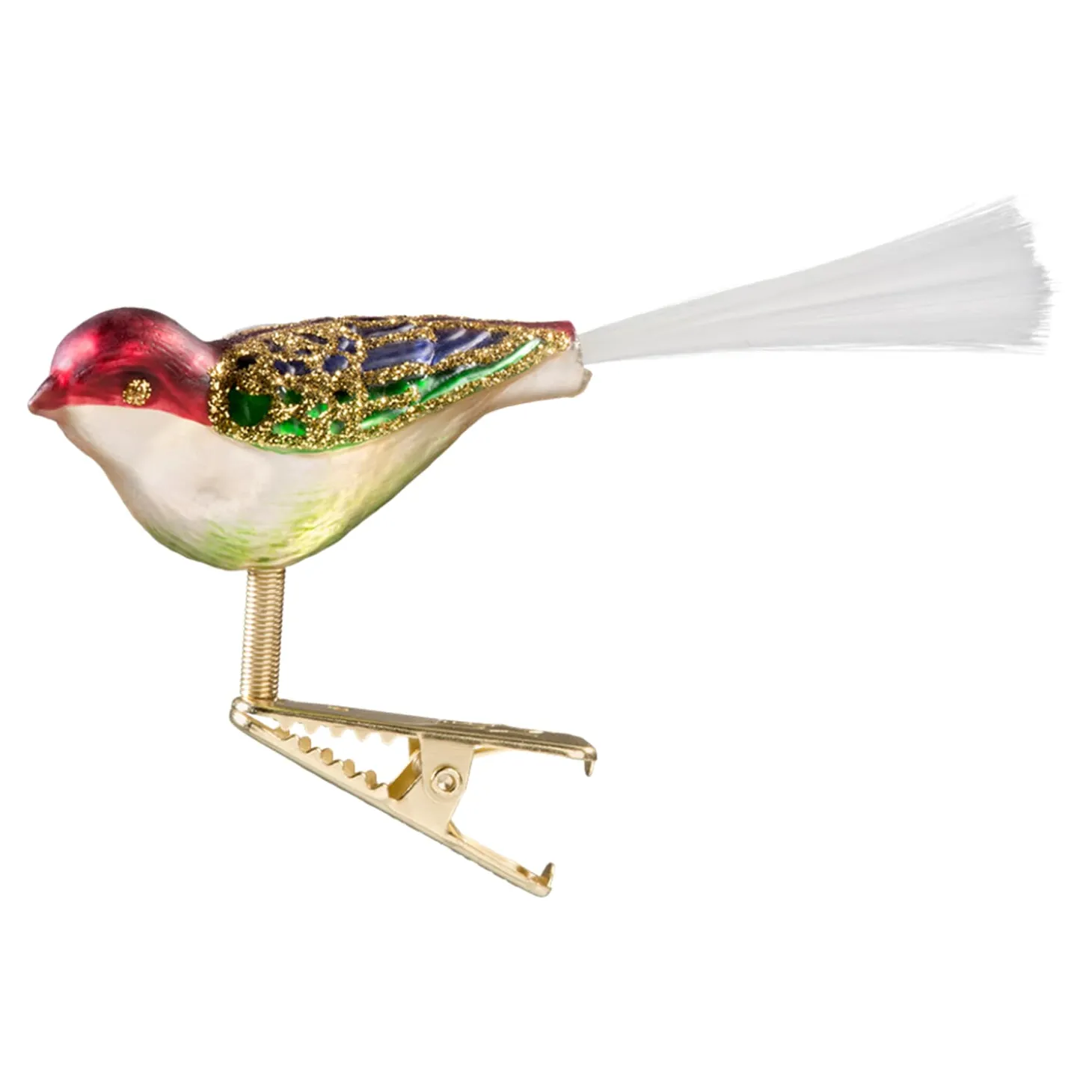 Glasvogel, gold-bunt