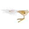 Glasvogel, goldfarben