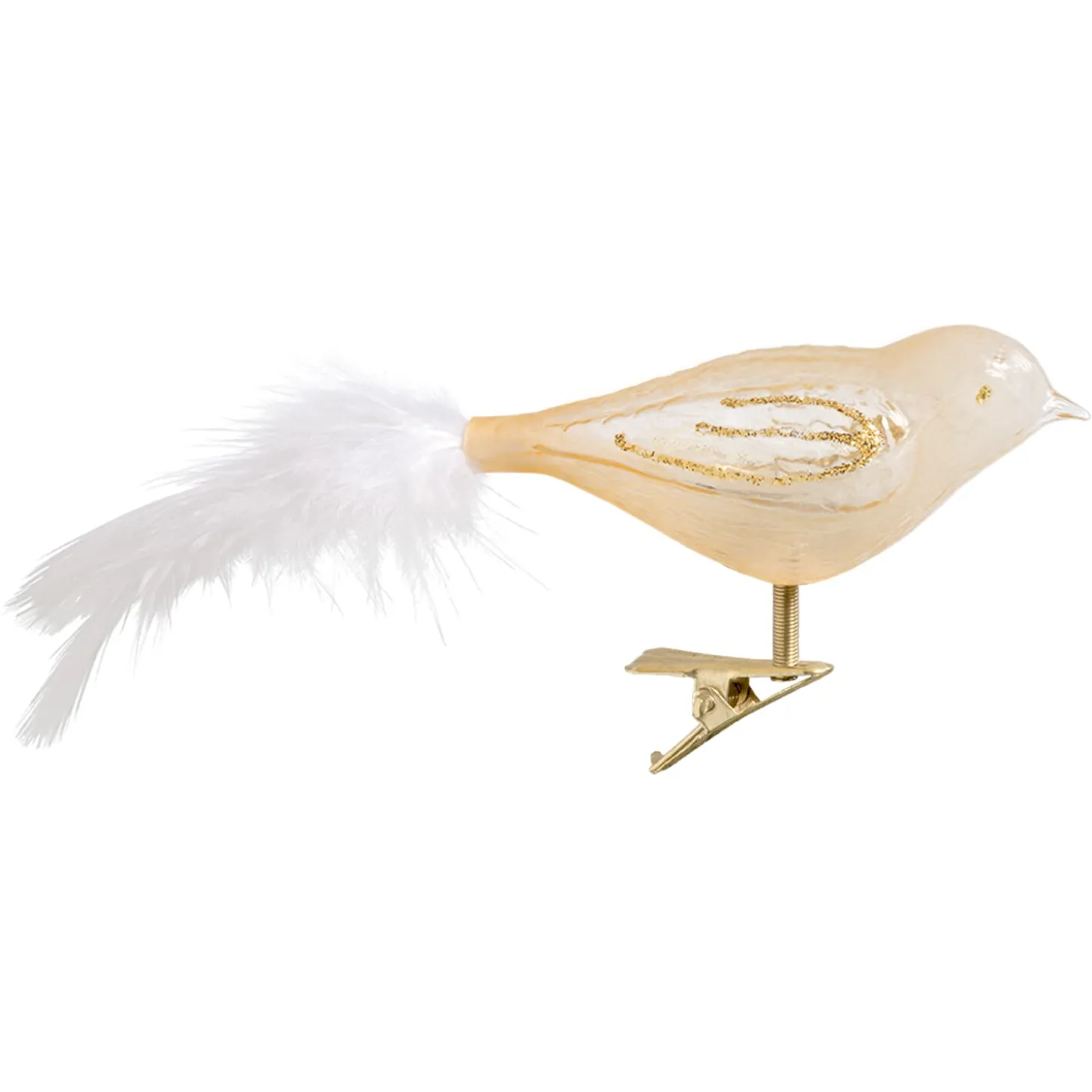 Glasvogel, gold-glimmer