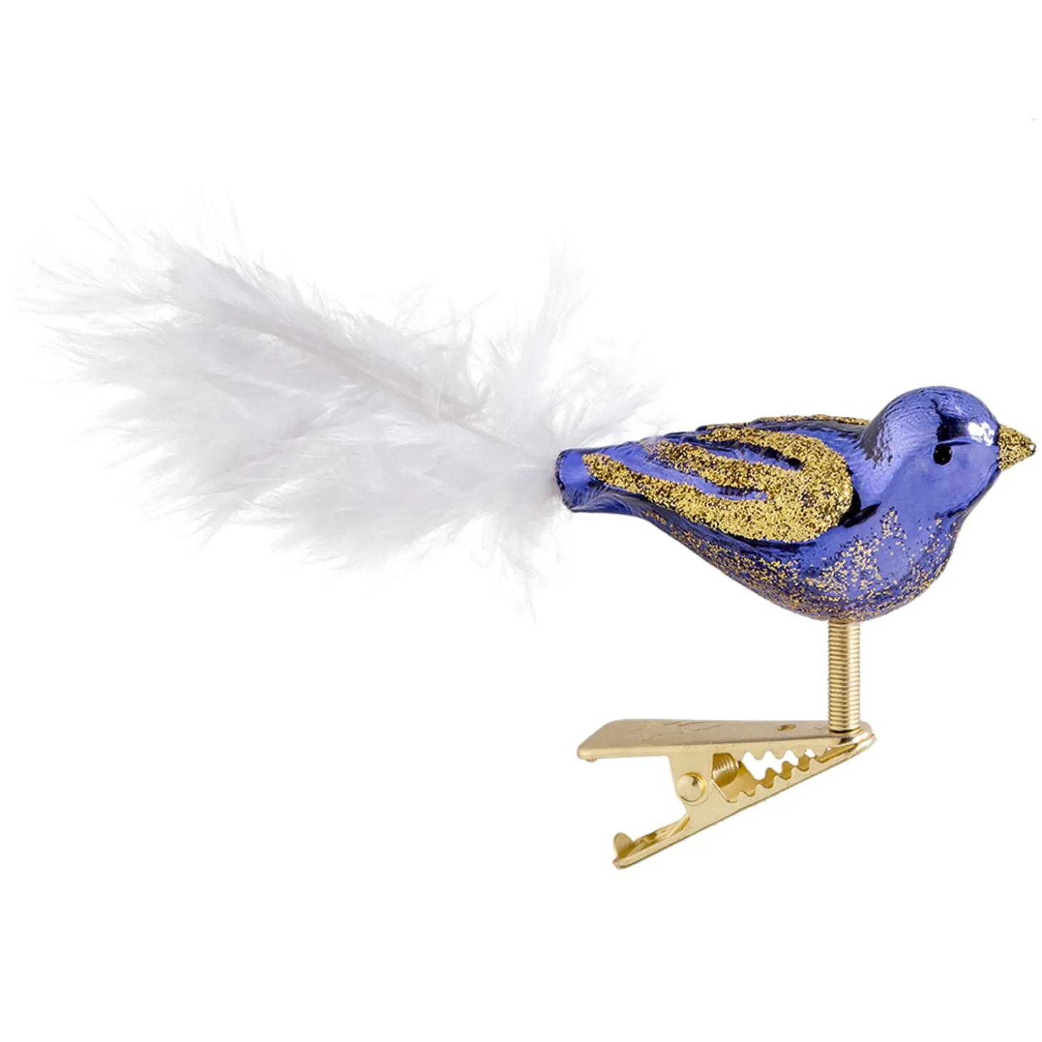 Glasvogel, lila-goldfarben