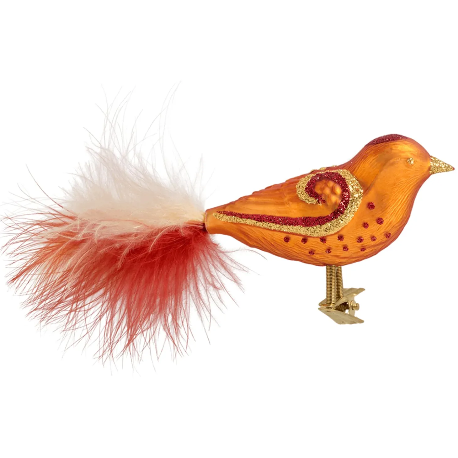 Glasvogel rot-orange-gold