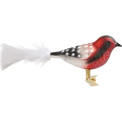 Glasvogel, rot-schwarz-weiß