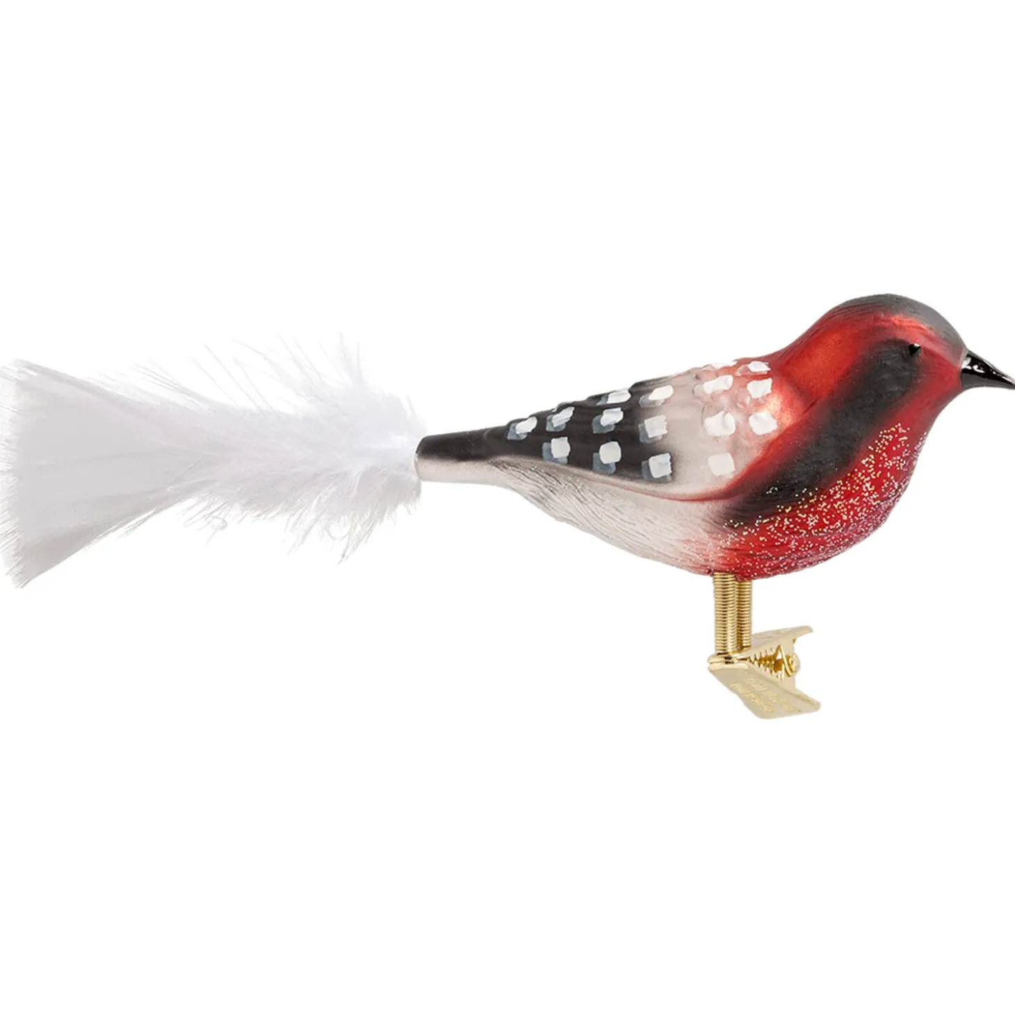 Glasvogel, rot-schwarz-weiß