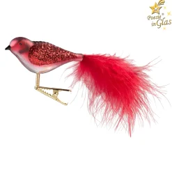 Glasvogel, rot-weiß