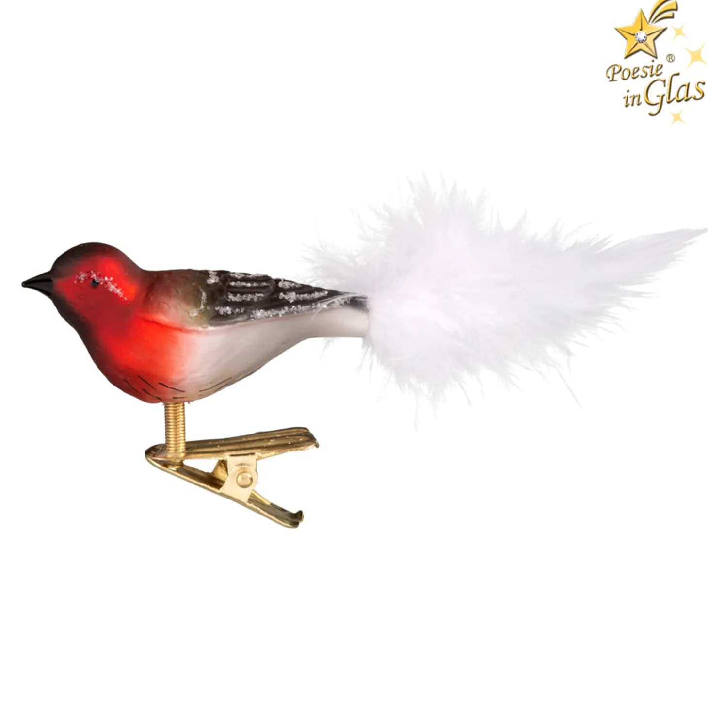 Glasvogel, rot-weiß-schwarz