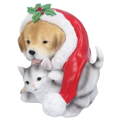 Hund und Katze unter Mütze