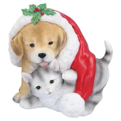 Hund und Katze unter Mütze