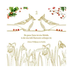 Kreativ-Adventskalender "Zauber der Natur"