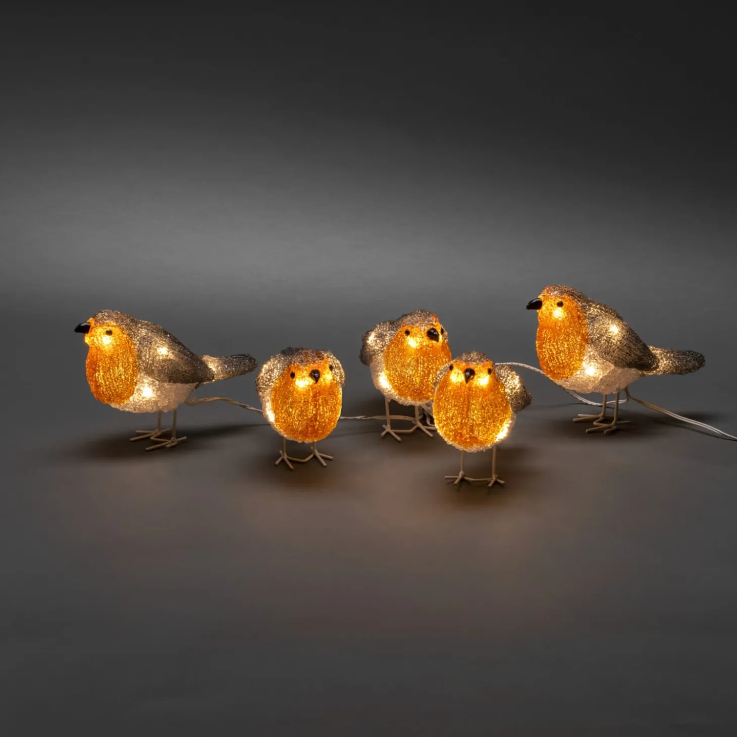 LED Acryl Rotkehlchen