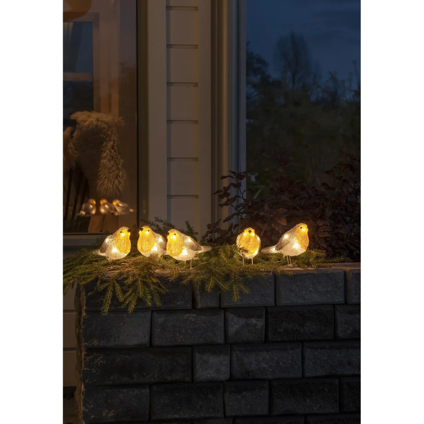 LED Acryl Rotkehlchen