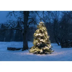 LED Micro Büschellichterkette, 2,7m