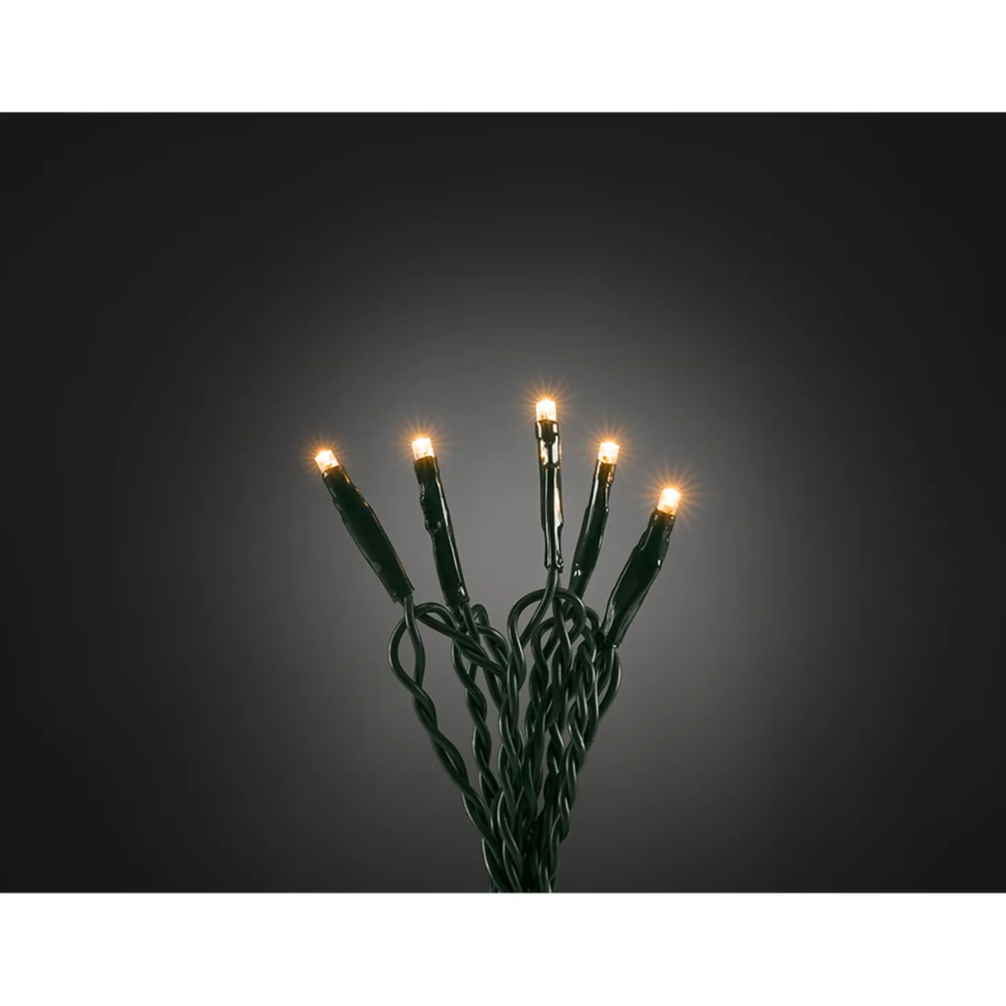 LED Micro Lichterkette mit 100 Dioden