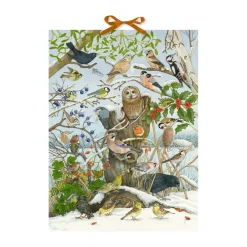 Sound-Adventskalender "Unsere Vögel im Winter"