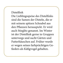 Sound-Adventskalender "Unsere Vögel im Winter"