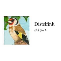 Sound-Adventskalender 