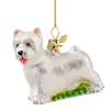 West Highland Terrier (Westie)